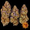 Mimosa EVO, Фасовка: 1, изображение 13